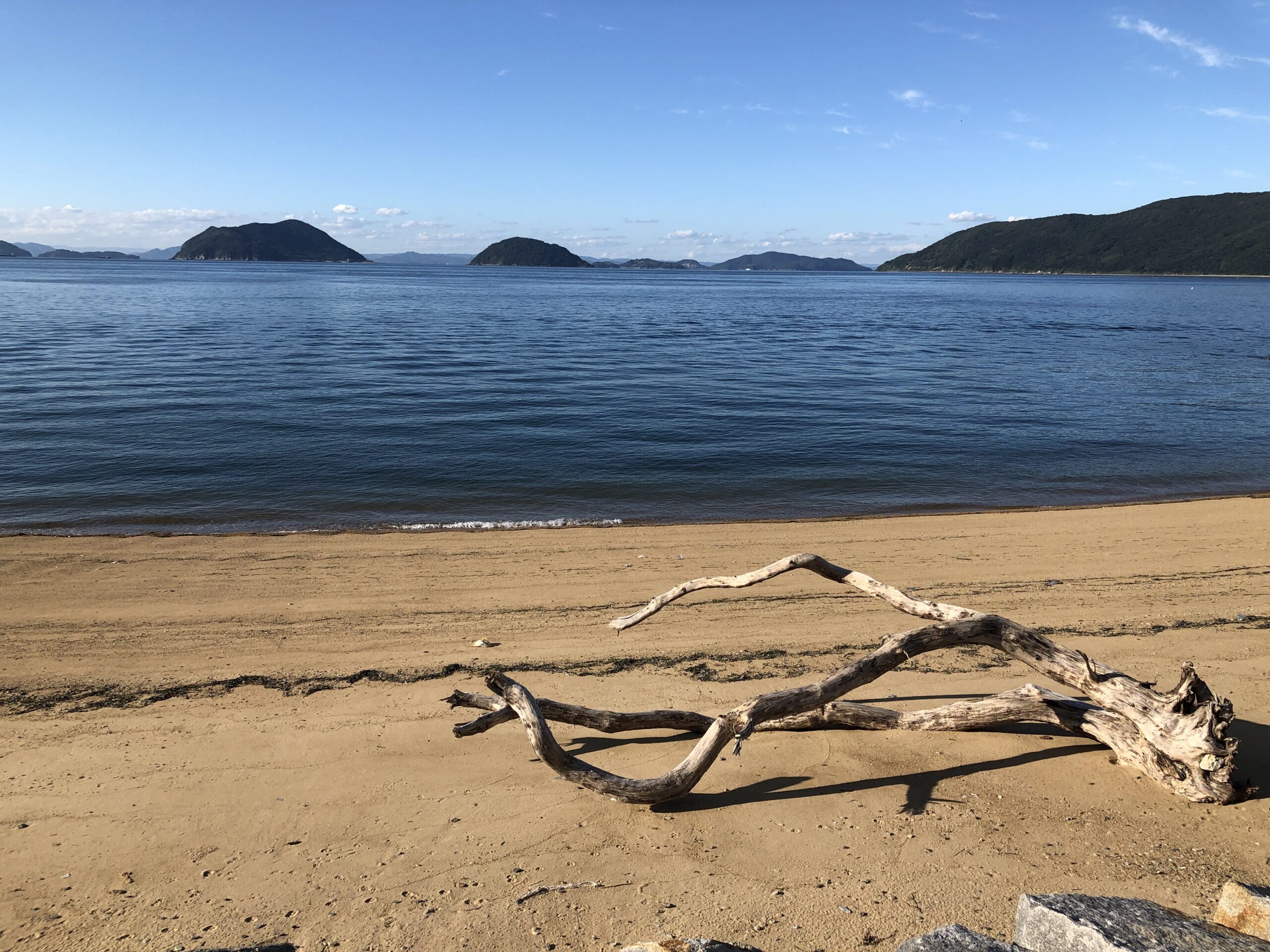 インターンシップ in 粟島 | ル・ポール粟島