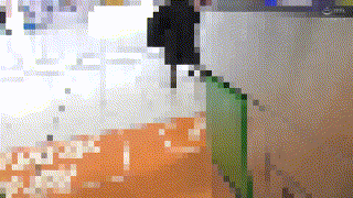 y027【黒ボレロベージュリボンちゃん027】無料エロ動画AV エロGIF 2